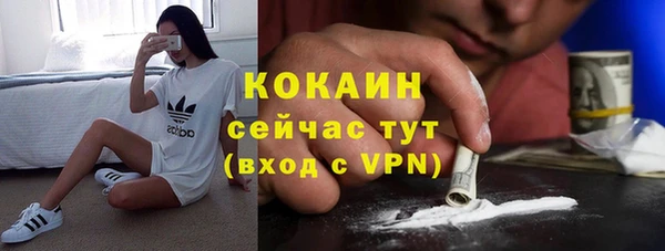дурь Осташков