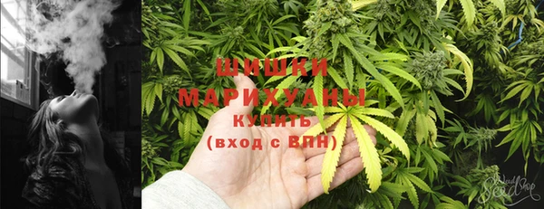 дурь Осташков