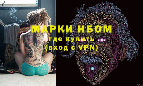 дурь Осташков