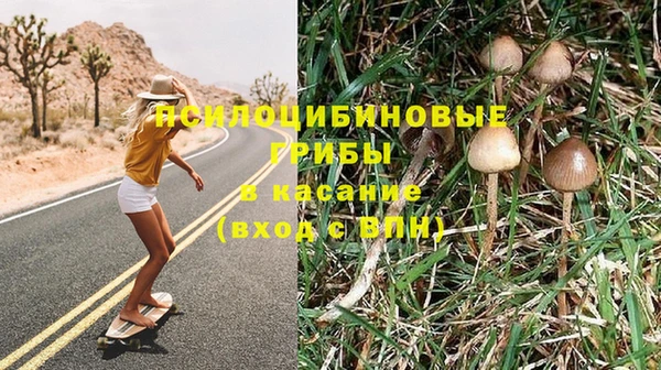 прущая мука Осинники
