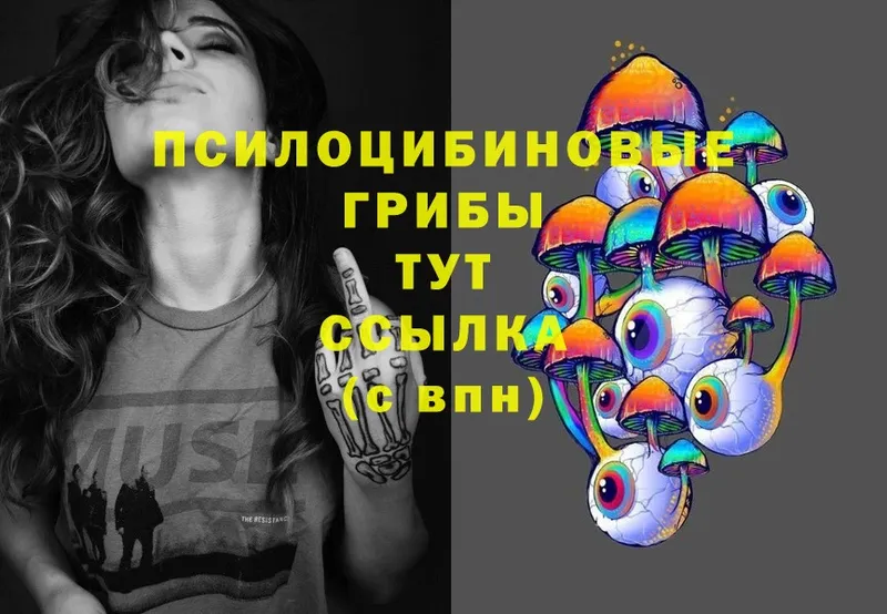 shop клад  Сорск  Псилоцибиновые грибы Psilocybe 